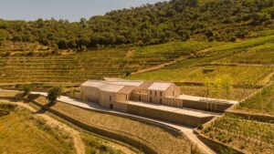 Quinta de Adorigo Winery by Atelier Sergio Rebelo