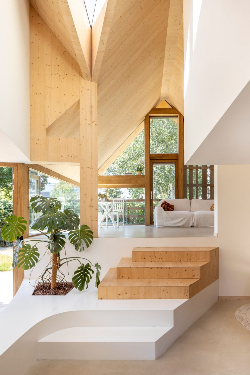 Lớp gỗ thông bản địa bao phủ nhiều diện tích tường và trần, định hình cảm xúc nội thất.